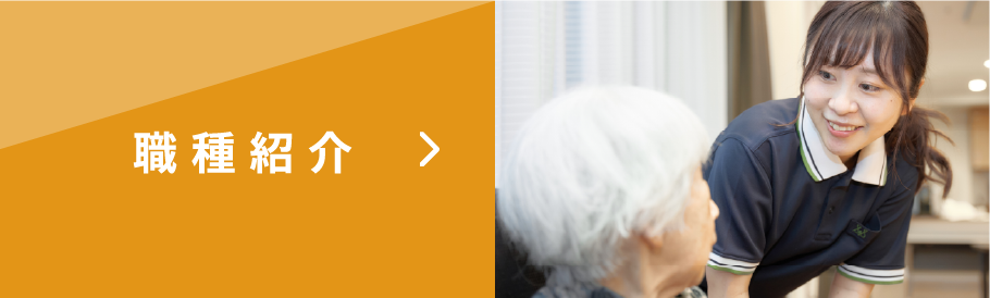 職種紹介